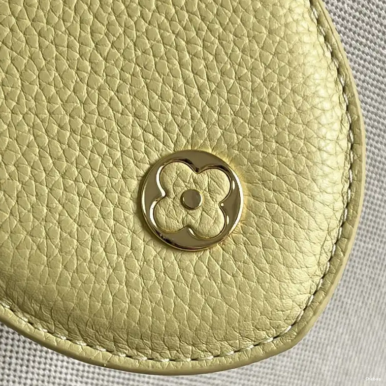 2207YA0088 Bag LV 0810